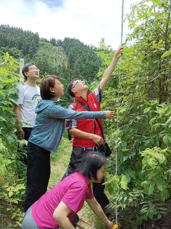 说明: C:\Users\lenovo\AppData\Local\Temp\WeChat Files\08289929a4b0d1599263366b54a5b3a.jpg