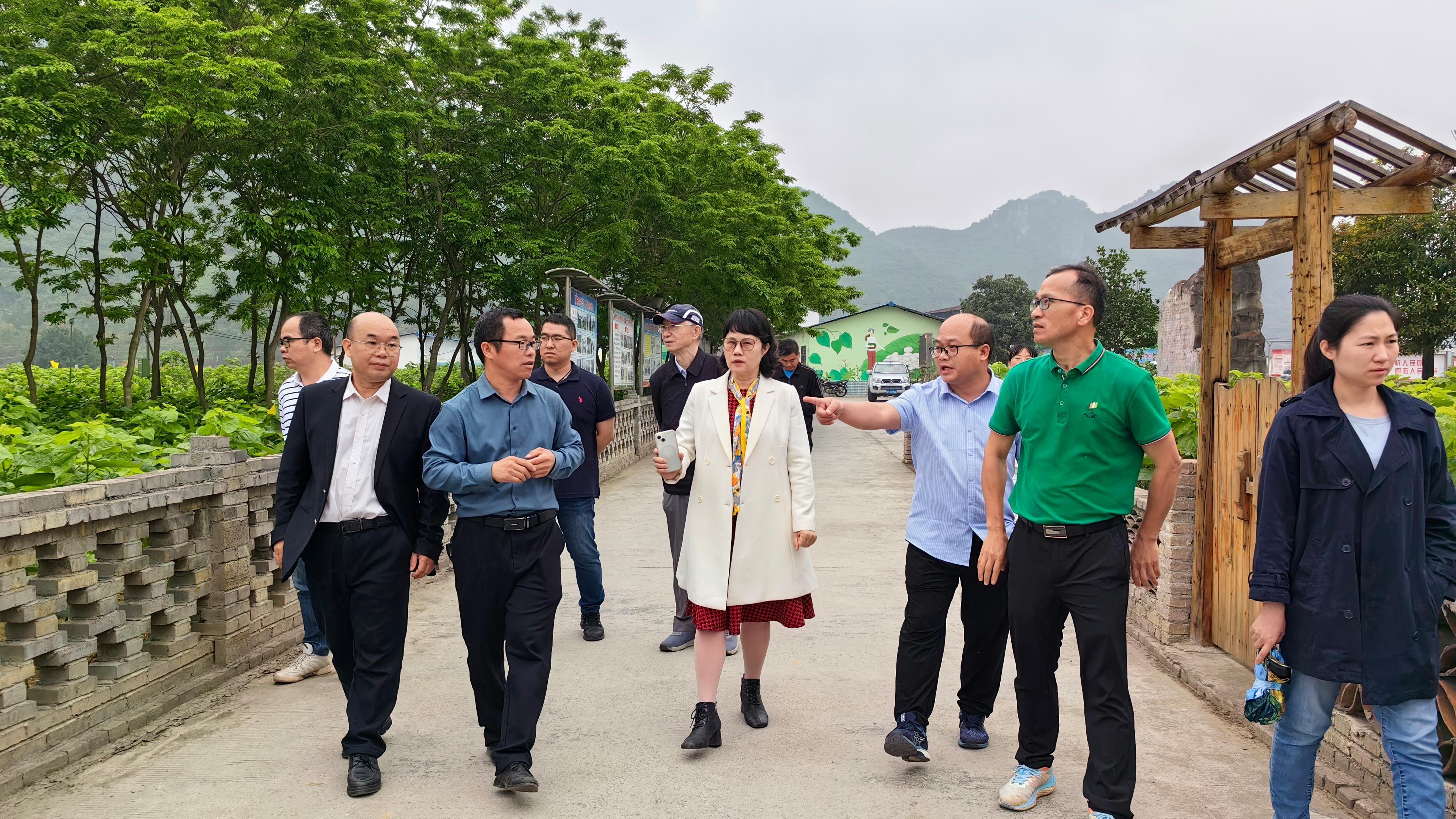 一群人站在路边描述已自动生成